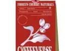 Buy Premium Coffee Beans Online from India’s Top Estates