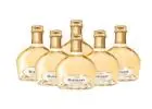 Case of Champagne for Sale – Delivered to Your Door