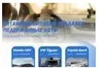 We are looking for car dealers to export cars from China to CIS and Russia