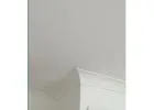 Best Painter in Dulwich