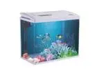 Aquarium Supplies Abu Dhabi - Famous Pets