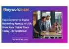 Top eCommerce Digital Marketing Agency in USA: Grow Your Online Store Today - Keywordriser