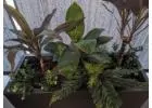 There Are Very Few Décor Moves As Smart As Faux Plants