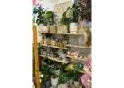 Best shop for Flowers in Secret Harbour