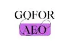 Goforaeo: The AEO Agency That Writes for Answers, Not Algorithms