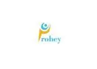 Probey Services- Leading Digital Marketing Agency in India