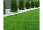 Best Artificial Grass Perth Available Now