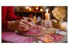 Famous Astrologer in Indira Nagar Lucknow
