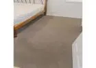 Need Professional Carpet Cleaning in Adelaide? We’ve Got You Covered!