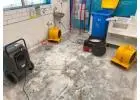 Reliable Water Damage Carpet Melbourne Repair