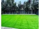 Buy Fake Turf Melbourne Fast Delivery