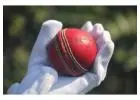 T20Live Cricket Platform  Premium Streaming Experience for Cricket Enthusiasts