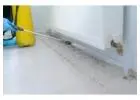 Reliable Pest Control in Brisbane: Magic Pest Control
