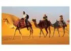 Explore Royal India with Rajasthan Travel Packages – Book Your Journey Today!