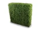 Brighten Up Your Space with an Artificial Hedge Wall