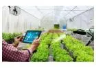 Greenhouse Inventory Apps