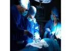 Get the Best Laparoscopy Surgery in Gandhinagar