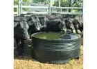 Keep Your Flock Hydrated with Tough Built Sheep Water Trough