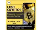 Professional Stolen Crypto Recovery Services by The Digital Solution