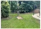 Best Lawn Mowing service in Bentley Park
