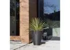Add Instant Character With Artificial Hanging Plants Online