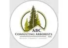 Consulting Arborist