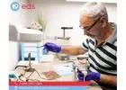 Traditional Dentures in Deland, FL 32724 | Emergency Dental Service