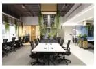 Sustainable Biophilic Office Designs
