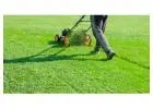 Best Lawn Care service in Lake Heights