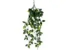 Install Fake Hanging Plants to Elevate Your Space Effortlessly