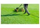 Best Lawn care in Oakwood