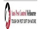 Ant Pest Control Melbourne