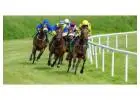 Horse Racing Trading Strategies That Actually Work on Betfair
