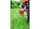 Best Garden Maintenance service in Greenbank