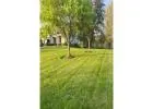 Best Lawn Care service in Mitcham