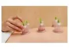Cupping Therapy NYC | Expert Cupping Services in New York City