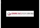 Wasp Removal Melbourne