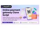 Online Payment Gateway Clone Script with Advanced Features – Free Demo Available