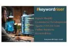 Expert Shopify Ecommerce Development Agency USA for Your Online Business - Keywordriser