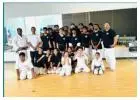 Best Martial Arts School in Lundy Village