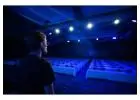 Event Companies Dallas