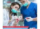 Affordable Dentures Cost in Palm Coast, FL 32137 | Emergency Dental Service