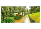 Unwind with the Best Hotel Deals in Coorg at The Windflower Resort