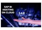 SAP B1 Hosting on Cloud by CloudAntique | Trusted ERP