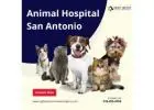 Best Animal Hospital Near Me San Antonio