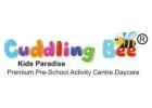 Why Choose a Nursery School Franchise in India Over Starting Independently?