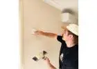 Best House Painter in Telarah