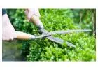 Best Hedge Trimming service im Fairview