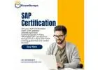 Affordable SAP Certification Dumps Price in Pune – ExamDumps360
