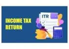Need help with Income Tax Return Filing
